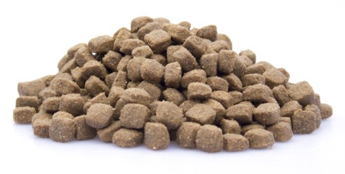 premium-high-energy-10-kg