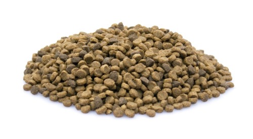 super-premium-puppy-10-kg