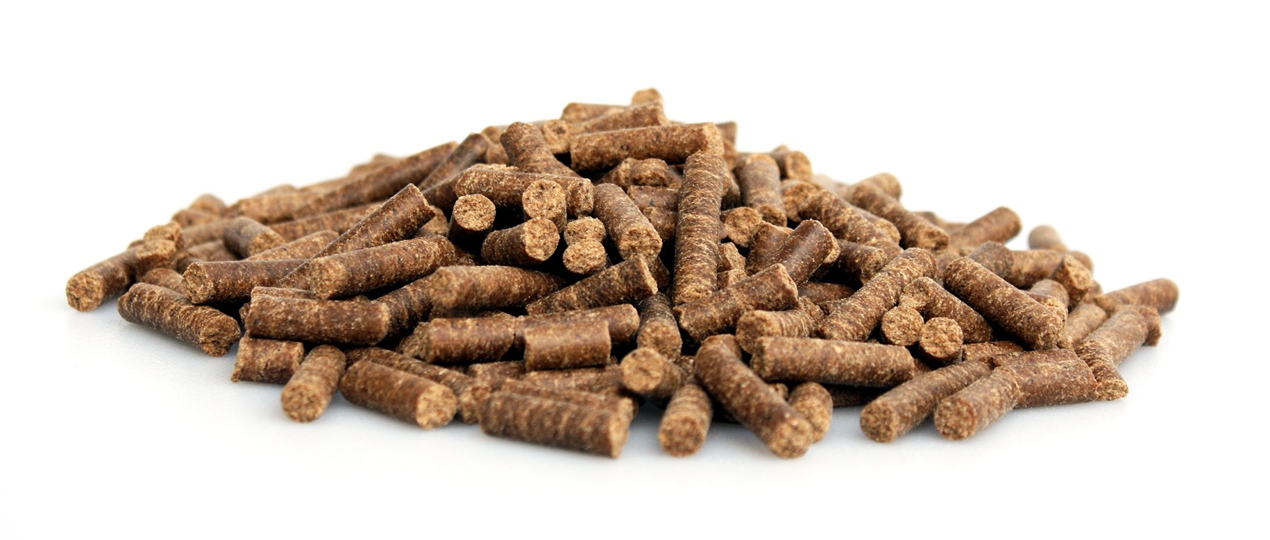 graanvrij-super-premium-excellent-puppy-junior-chicken-potatoes-10-kg