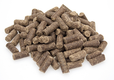 premium-excellent-4-kg