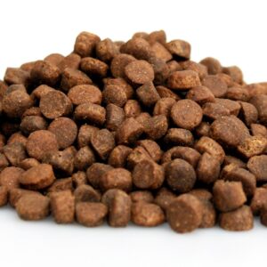 premium-kat-graanvrij-zalm-10-kg