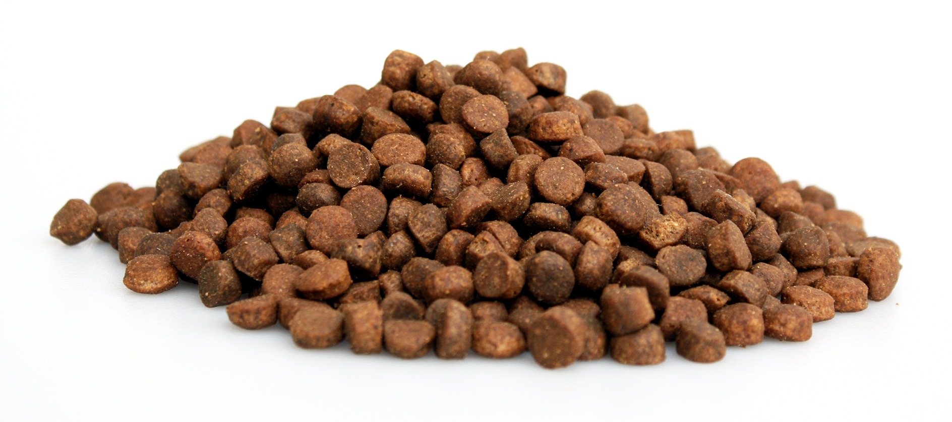 premium-kat-graanvrij-zalm-2-kg