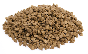 premium-kat-indoor-10-kg