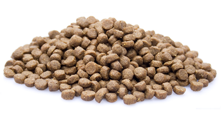 premium-kat-senior-10-kg