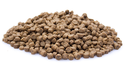 premium-kitten-10-kg