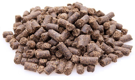 super-premium-excellent-active-10-kg