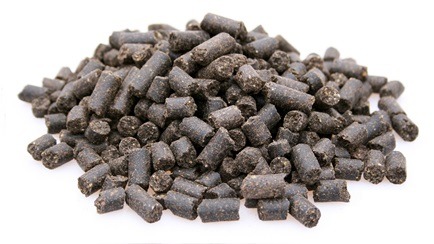 super-premium-excellent-high-energy-10-kg