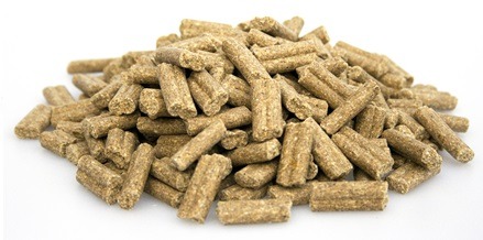 super-premium-excellent-lamb-rice-20-kg