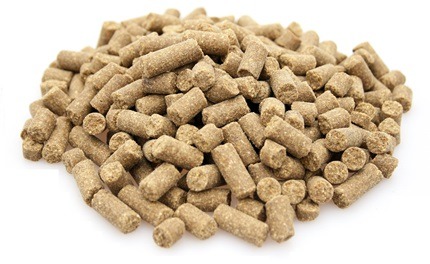 super-premium-excellent-salmon-rice-10-kg